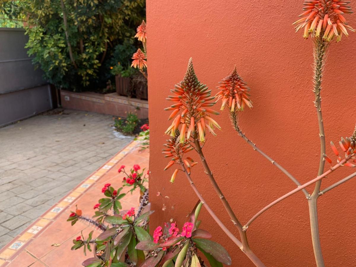 La Casita De Descanso - Das Haeuschen Der Ruhe - La Luz - La Orotava Buitenkant foto