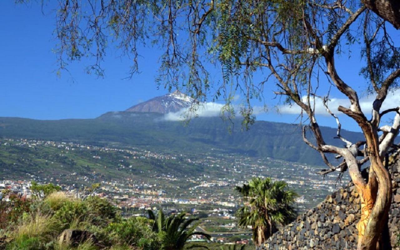 La Casita De Descanso - Das Haeuschen Der Ruhe - La Luz - La Orotava Buitenkant foto